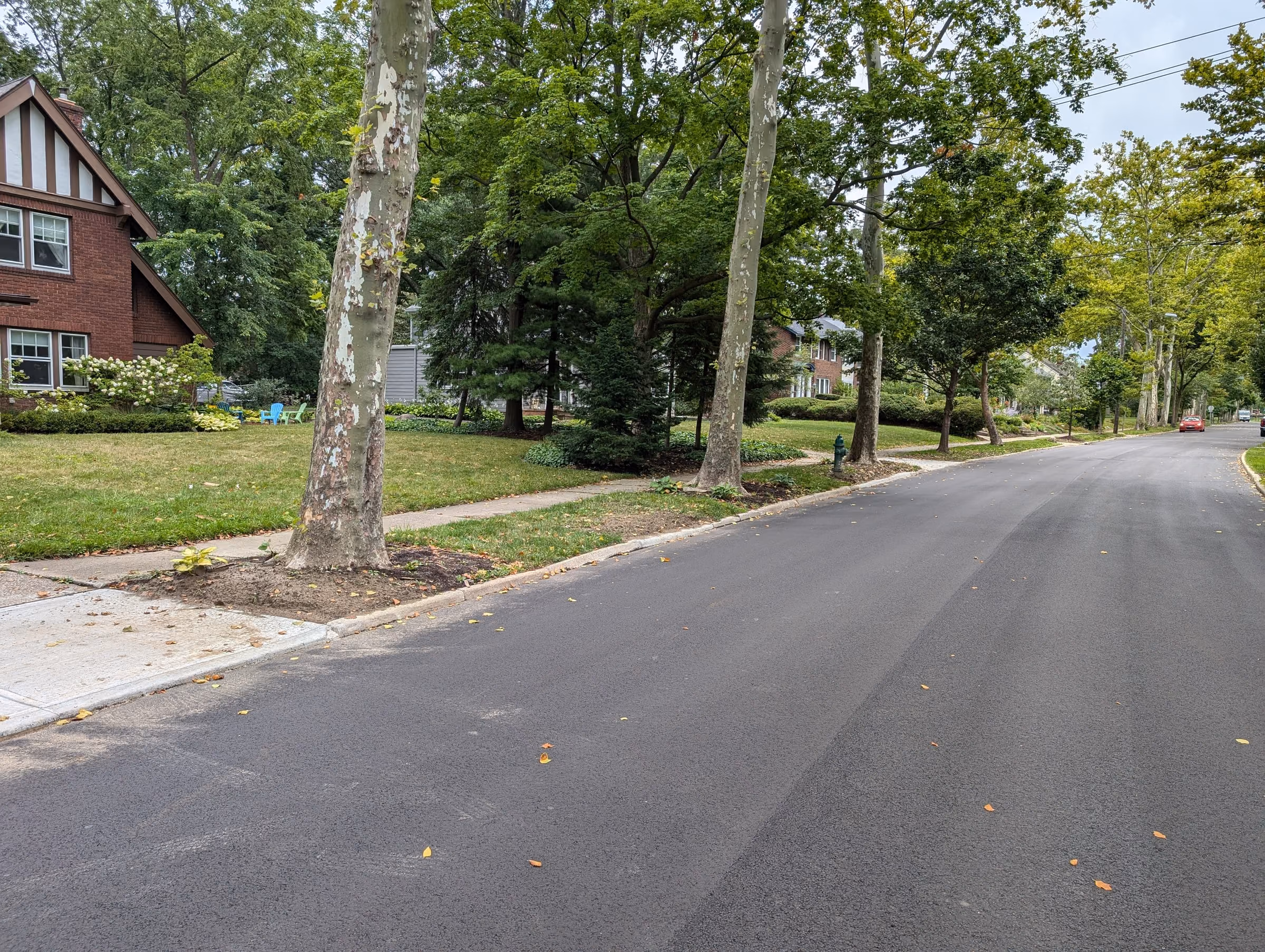 A residential street with trees in the tree lawn between the sidewalk and the curb